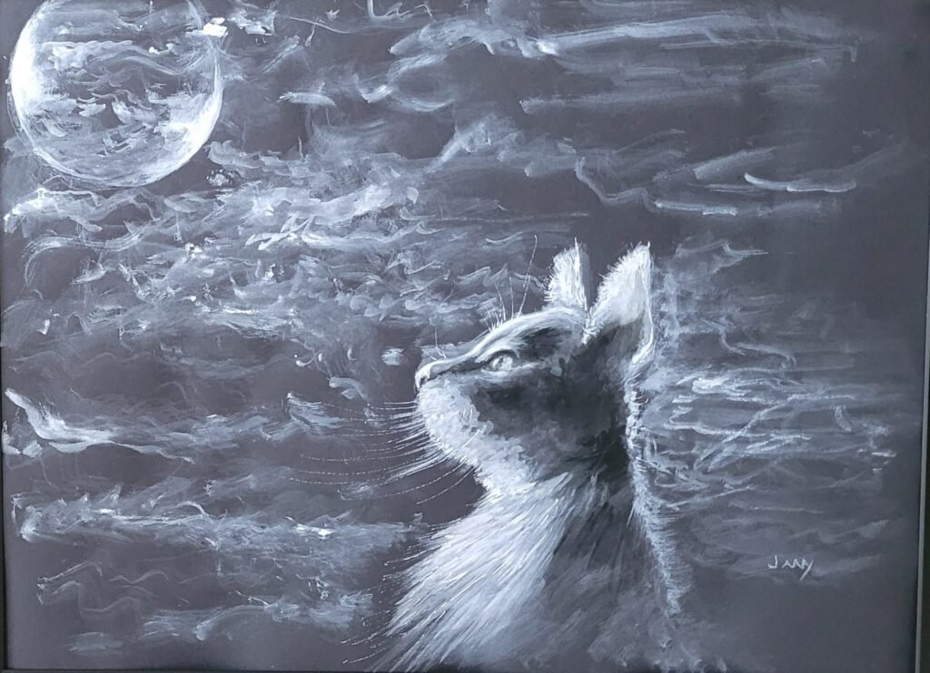 Chat sous la lune